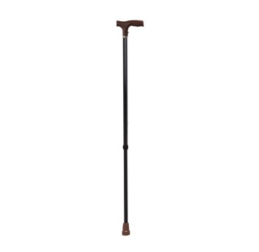 Canne aluminium simple Noire